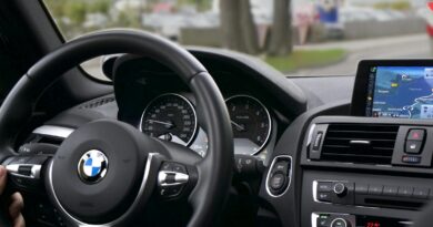 Elegant BMW car interior showcasing navigation screen, speedometer, and steering wheel.